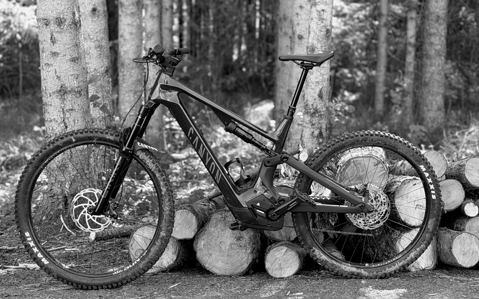 Canyon Spectral:ON CF 7 (2025), Rahmengröße L — unser Testbike